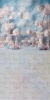 CL1273wsk.jpg