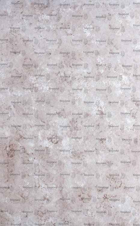CL1216.jpg