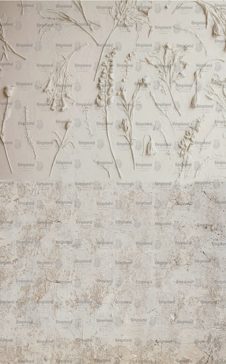CL1215.jpg