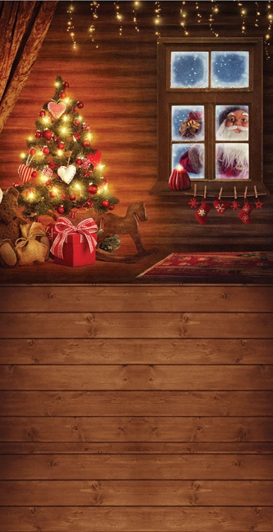 Z179  Świąteczne tło fotograficzne www.bingoland.pl.jpg