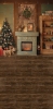 Z389 250x500.jpg