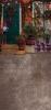 Z368 190x400,250x500.jpg