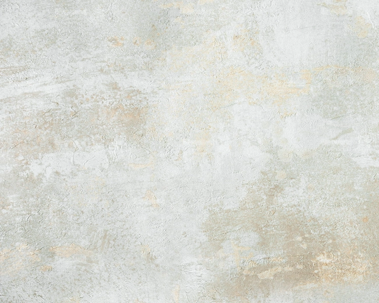 CL1294 250X200.jpg