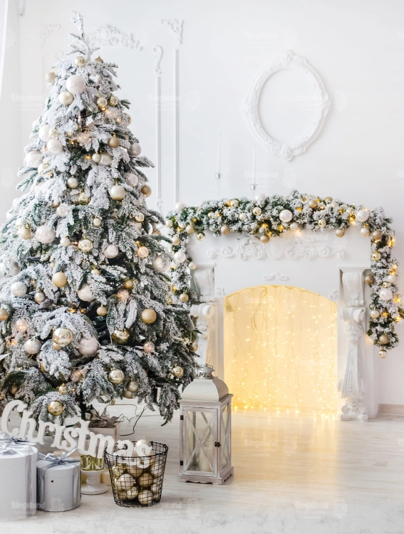 Z275 160x210 sciana.jpg