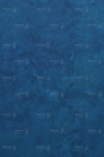 F98.jpg