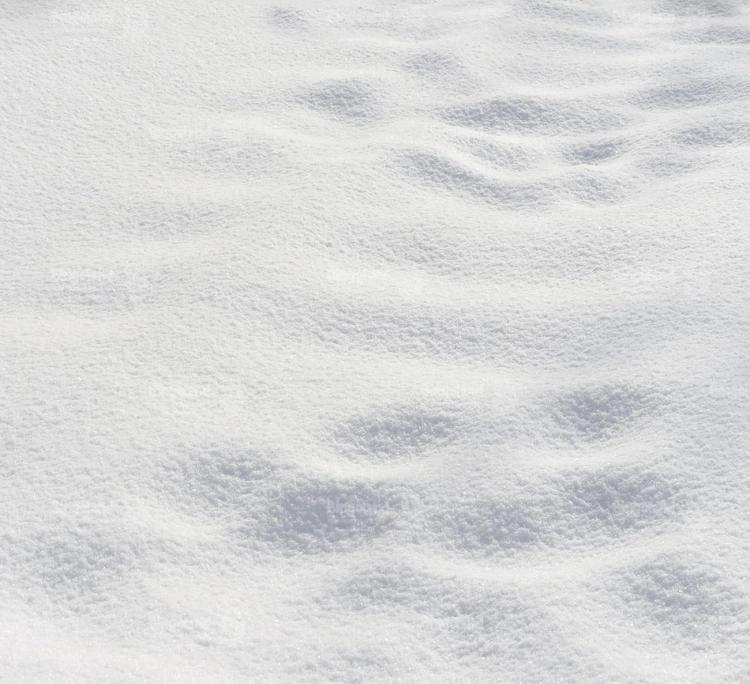 Z278 220x200 podloga.jpg