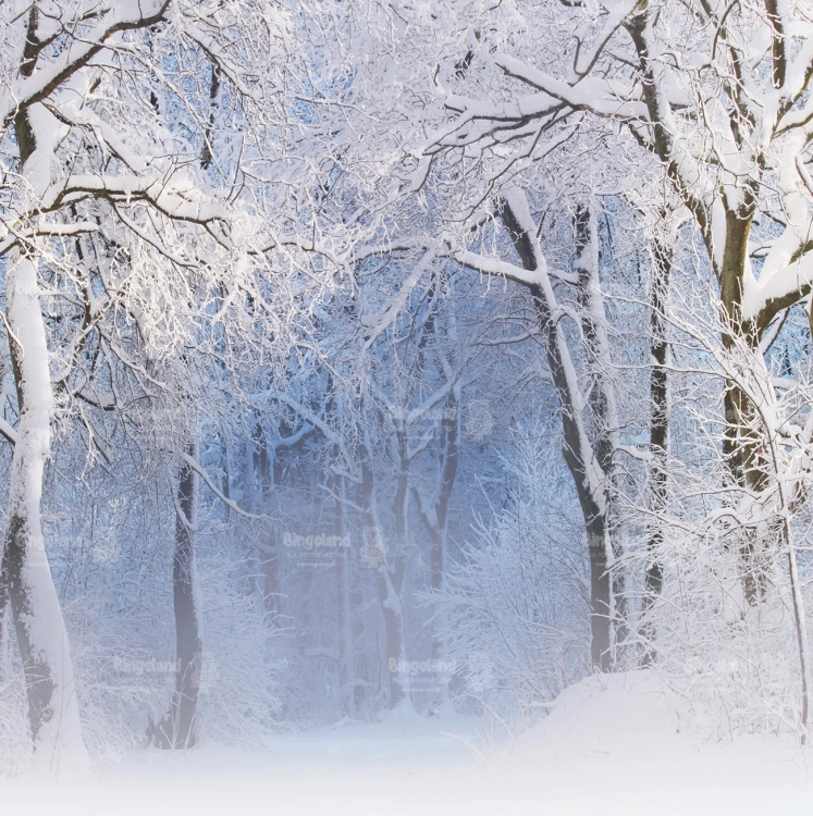 Z338 250x250 sciana.jpg