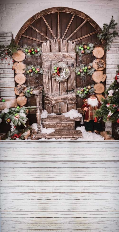 Z191  Świąteczne tło fotograficzne www.bingoland.pl.jpg