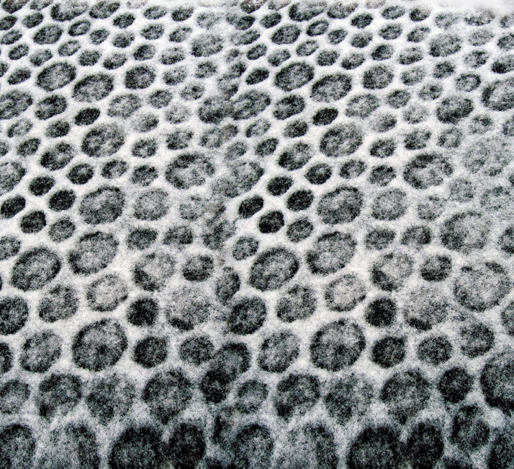 Z343 220x200 podloga.jpg