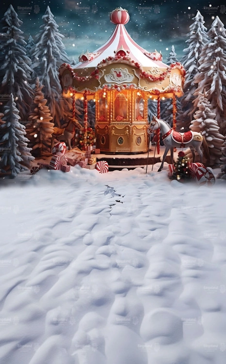 tlo-fotograficzne-swiateczne-karuzela-Z454.jpg