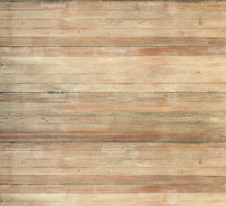 Z281 220x200 podloga.jpg