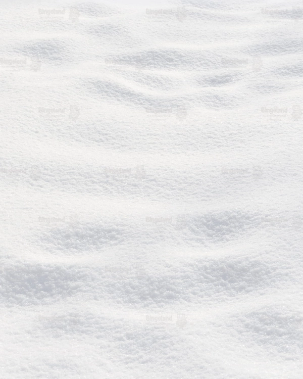 Z285 200x250 podloga.jpg