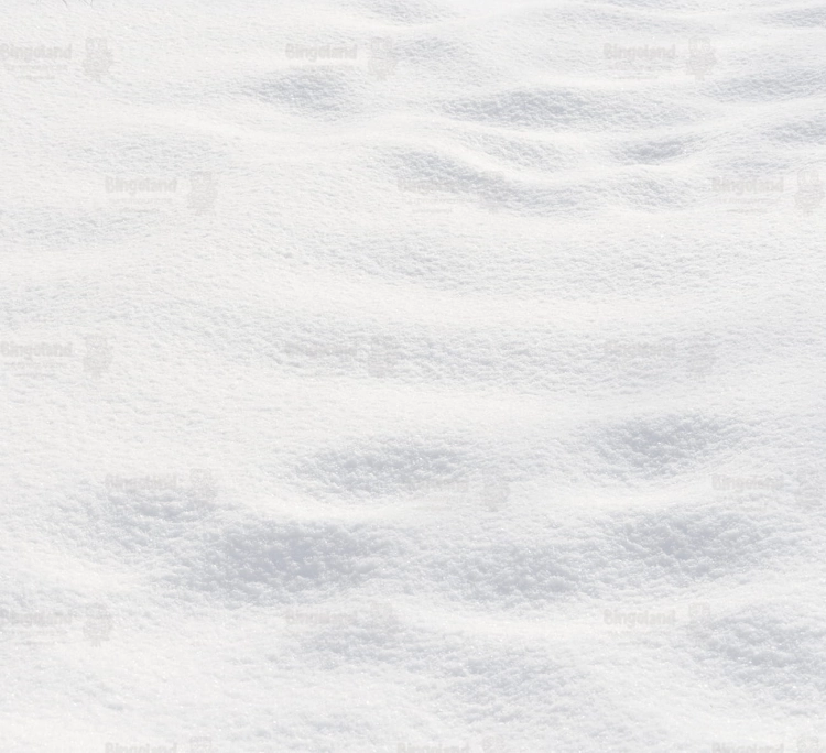 Z285 220x200 podloga.jpg