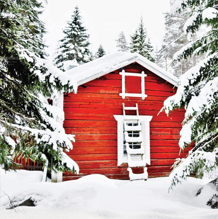 Z285 250x250 sciana.jpg