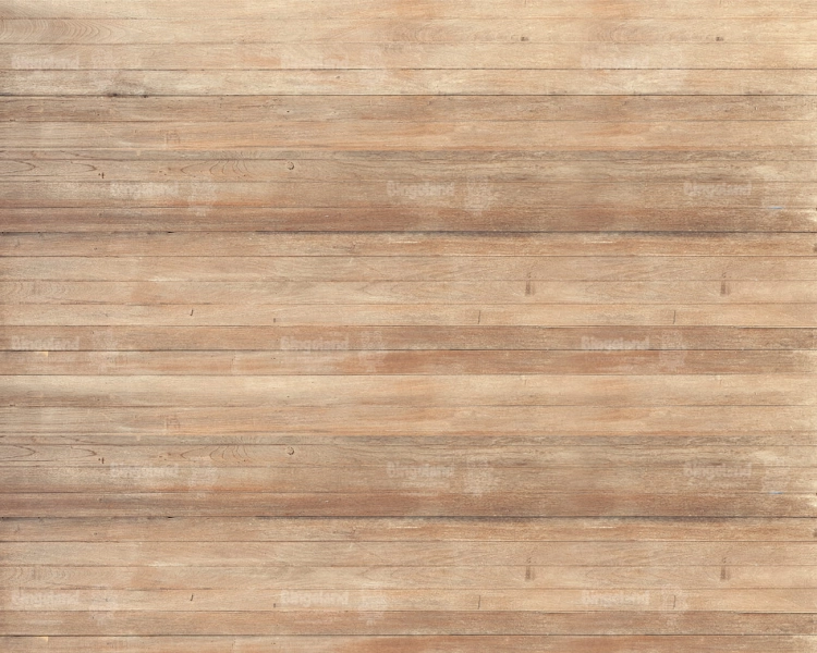 Z290  300x240 podloga.jpg