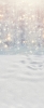 Z302 250x600.jpg