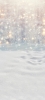 Z302 135x300.jpg