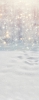 Z302 160x400.jpg