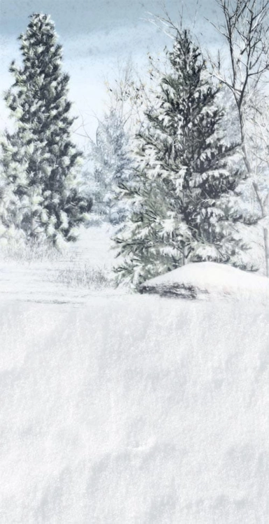 Z163  Świąteczne tło fotograficzne zimowy las  www.bingoland.pl.jpg