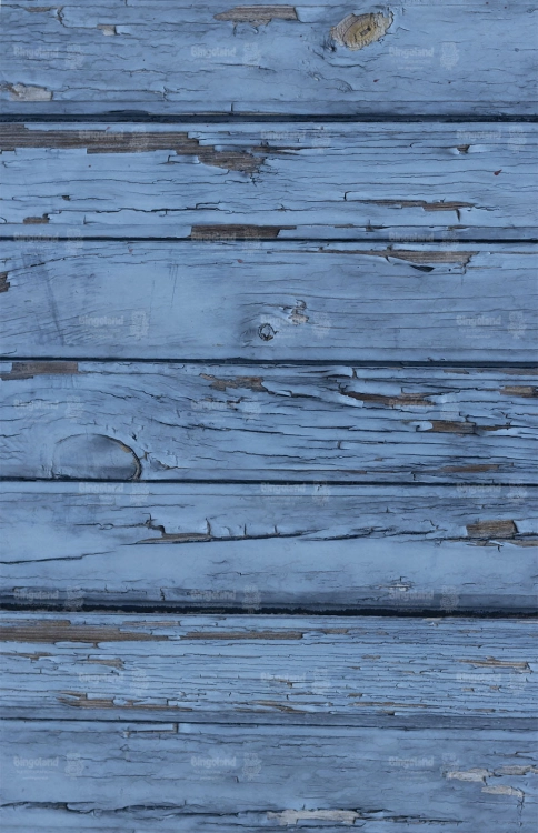 F88.jpg