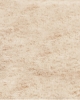 Z300 220x200 podloga.jpg