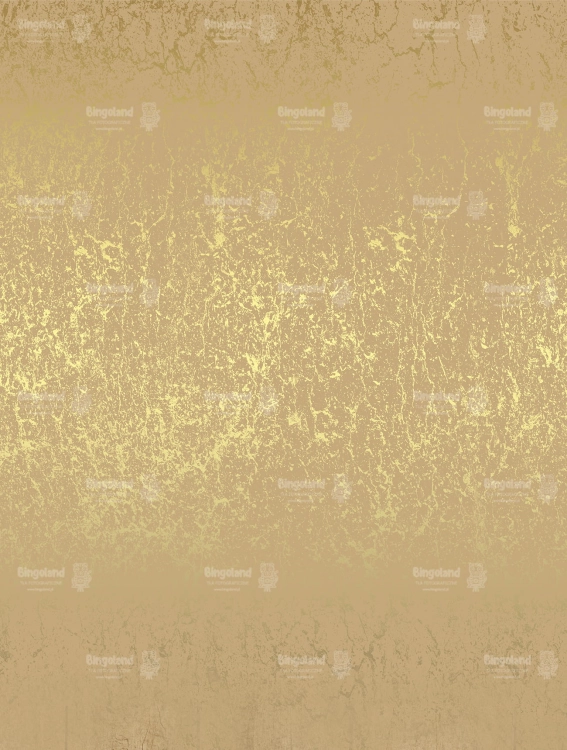 Z246 160x210 sciana.jpg