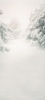 Z261 135x300.jpg