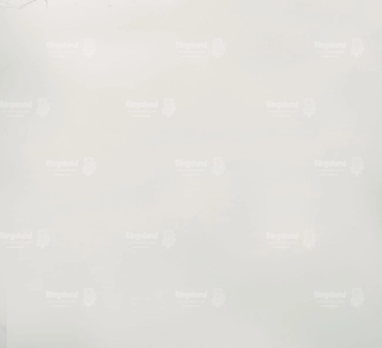 Z269 220x200 podloga.jpg