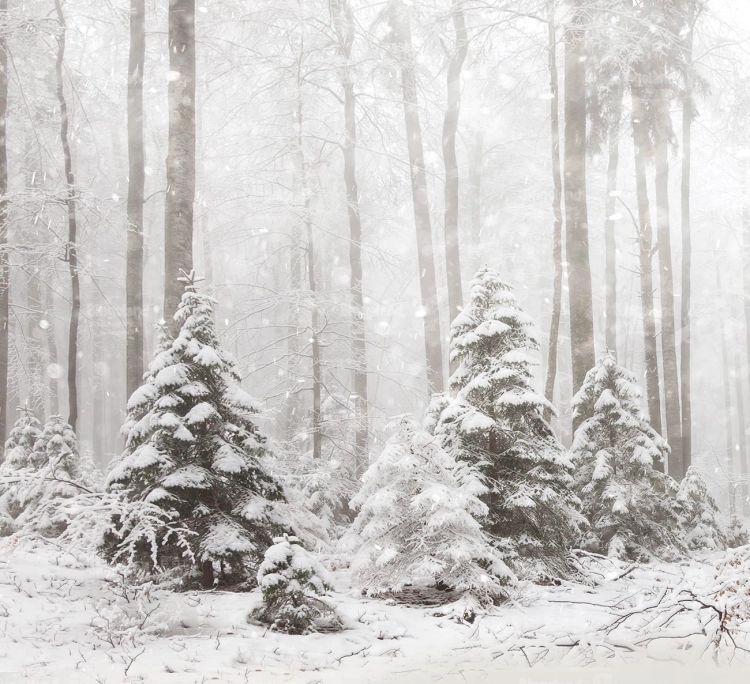 Z269 220x200 sciana.jpg