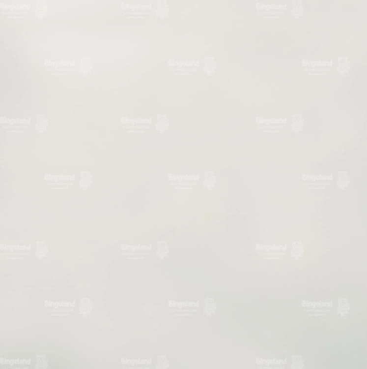 Z269 250x250 podloga.jpg