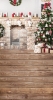Z271 160x300.jpg