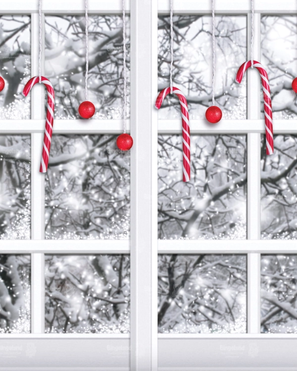 Z215 200x250 sciana.jpg