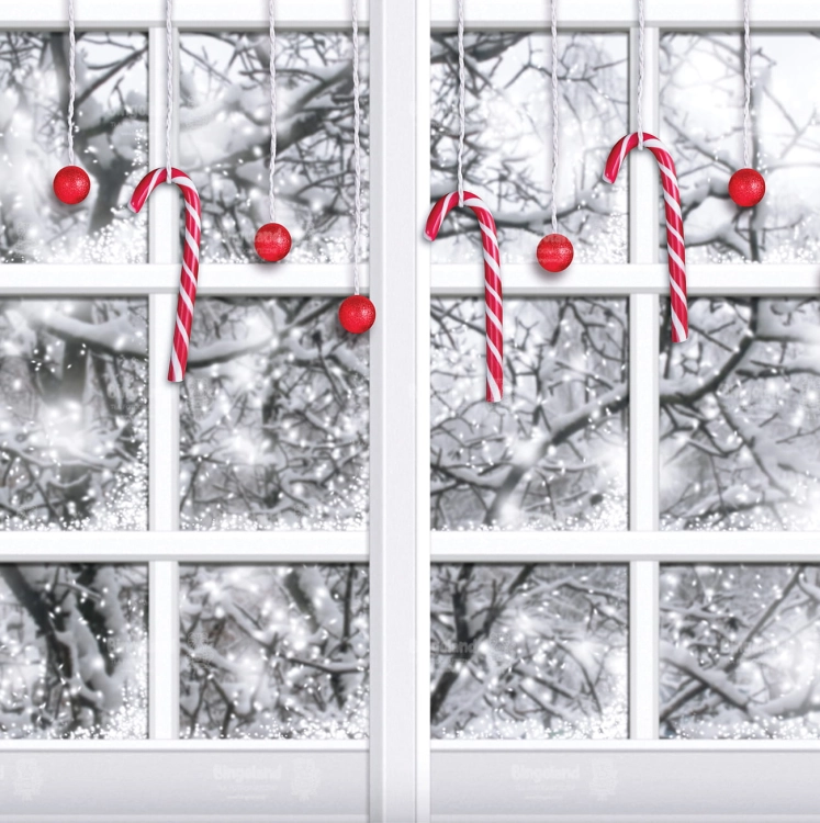 Z215 250x250 sciana.jpg