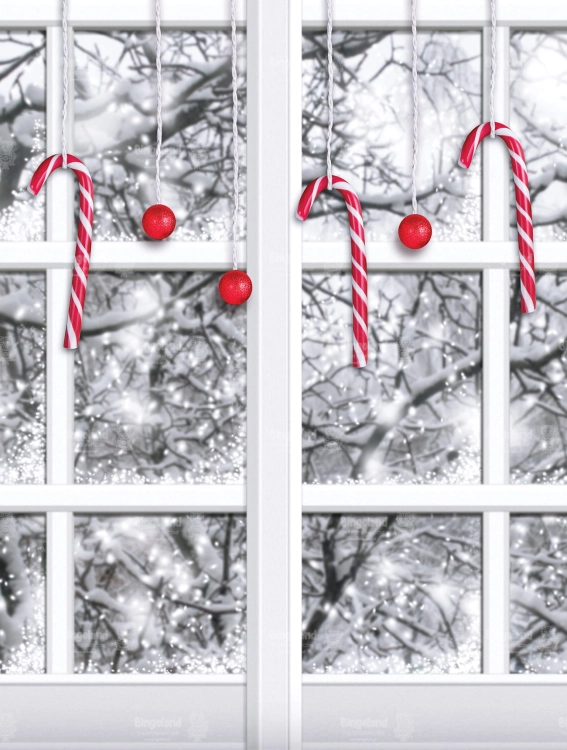 Z215 160x210 sciana.jpg