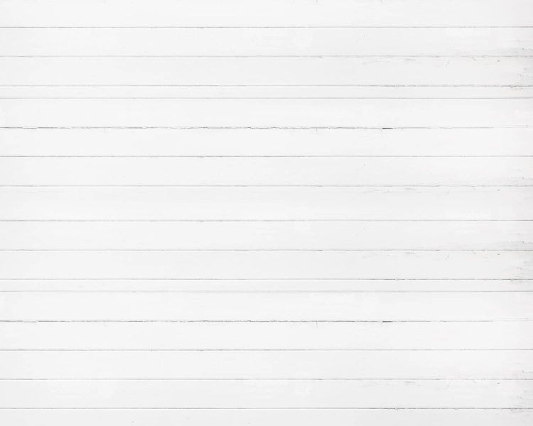 Z219 300x240 podloga.jpg