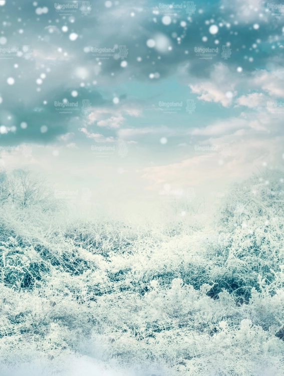 Z220 160x210 sciana.jpg