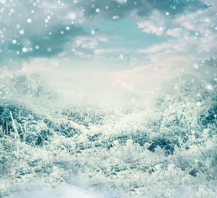 Z220 220x200 sciana.jpg