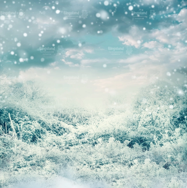 Z220 250x250 sciana.jpg