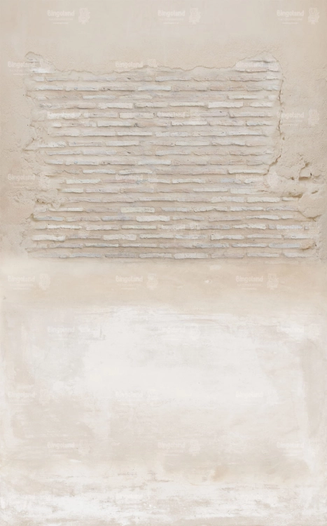 CL1111.jpg