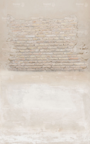 CL1110.jpg
