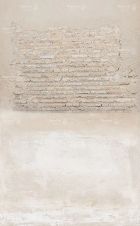 CL1110.jpg