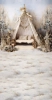 tlo-fotograficzne-swiateczne-boho-tipi-Z519-waskie.webp