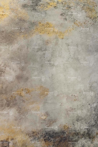 CL1022.jpg