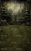 tlo-fotograficzne-las-choinki-Z529.webp
