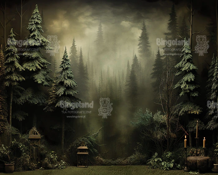 tlo-fotograficzne-las-choinki-Z529-szerokascianka.webp