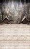 tlo-swiateczne-Z532.webp