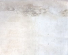 tlo-fotograficzne-wiosna-wiosenne-kwiaty-drzwi-podloga-CL1381.webp