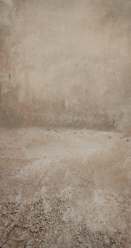 tło fotograficzne brążowe.jpg