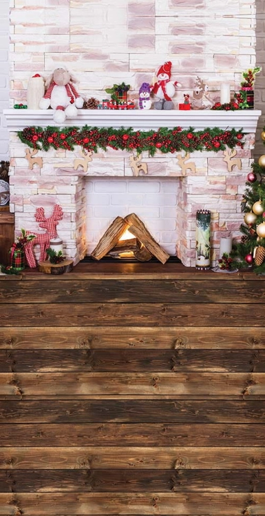 Z177  Świąteczne tło fotograficzne www.bingoland.pl.jpg