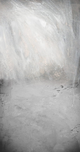 CL660  tło fotograficzne klasyczne.jpg